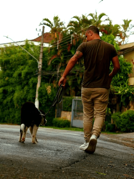 Tutora e cão em aula de adestramento da MY DOG
