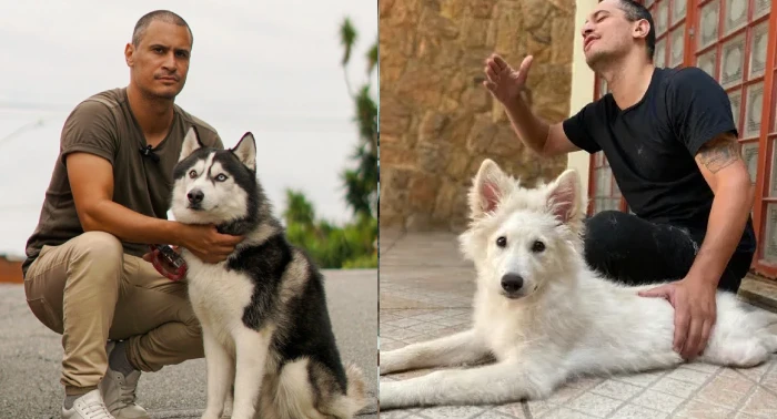Dois cães acompanhados pela MY DOG durante o treino